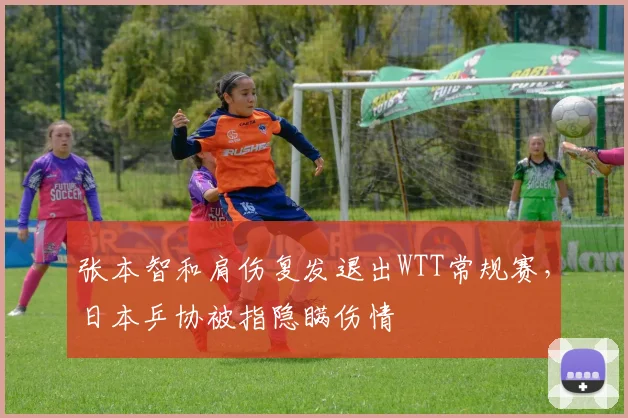 张本智和肩伤复发退出WTT常规赛，日本乒协被指隐瞒伤情
